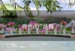 夜色dj广场舞