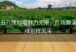 丑八怪对唱魅力无限，广场舞演绎别样风采