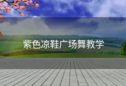 紫色凉鞋广场舞教学