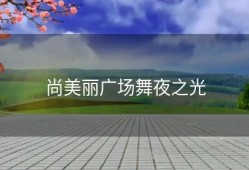 尚美丽广场舞夜之光