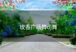玫香广场舞dj舞