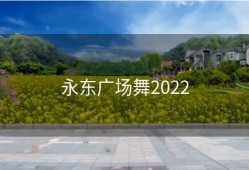 永东广场舞2022