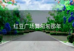 红豆广场舞匆匆那年