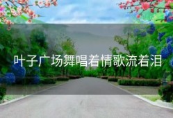 叶子广场舞唱着情歌流着泪