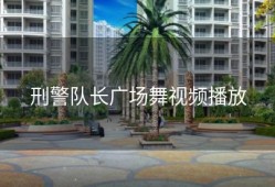 刑警队长广场舞视频播放