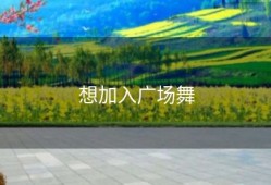 想加入广场舞