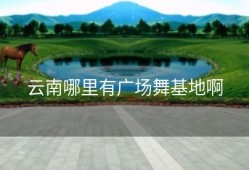 云南哪里有广场舞基地啊