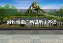 游牧情歌广场舞新十不该