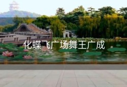 化蝶飞广场舞王广成