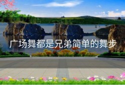 广场舞都是兄弟简单的舞步