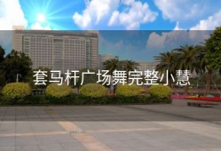 套马杆广场舞完整小慧