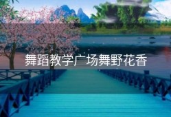 舞蹈教学广场舞野花香