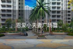 恩爱小夫妻广场舞