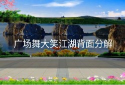 广场舞大笑江湖背面分解