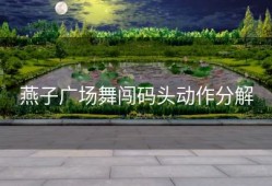 燕子广场舞闯码头动作分解