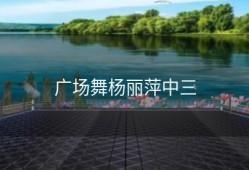 广场舞杨丽萍中三