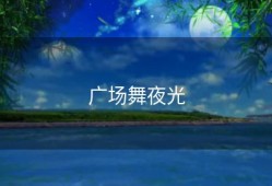 广场舞夜光