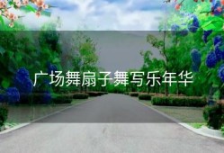 广场舞扇子舞写乐年华