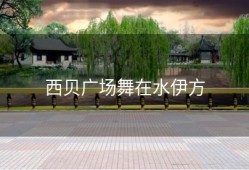 西贝广场舞在水伊方