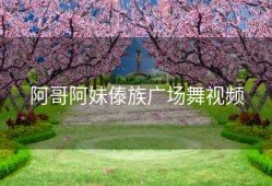 阿哥阿妹傣族广场舞视频