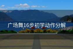 广场舞16步初学动作分解