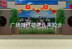 广场舞红莓花儿开32步