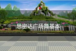 思密达广场舞基本