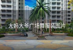 大妈大爷广场舞服装图片