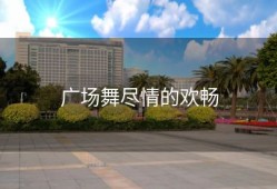 广场舞尽情的欢畅