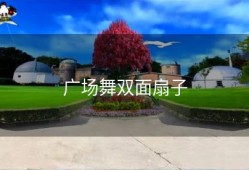 广场舞双面扇子