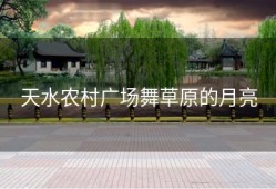 天水农村广场舞草原的月亮