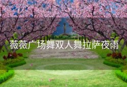 薇薇广场舞双人舞拉萨夜雨