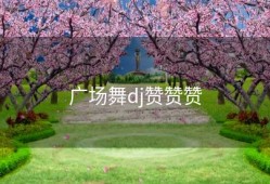 广场舞dj赞赞赞