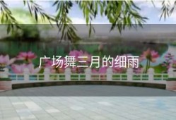 广场舞三月的细雨
