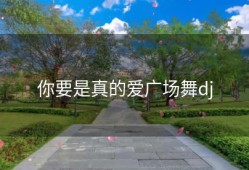你要是真的爱广场舞dj