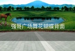 强哥广场舞花蝴蝶背面