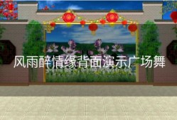 风雨醉情缘背面演示广场舞