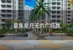 葛集星月无内广场舞