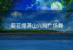 菊花爆满山兴梅广场舞