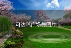 可达鸭广场舞图片