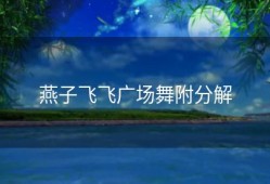 燕子飞飞广场舞附分解