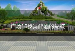 广场16步舞醉酒的蝴蝶