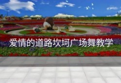 爱情的道路坎坷广场舞教学