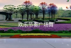 欢乐节奏广场舞
