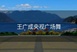 王广成央视广场舞