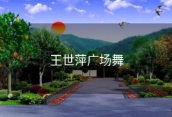 王世萍广场舞