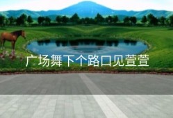 广场舞下个路口见萱萱