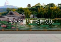 军休所里的广场舞视频
