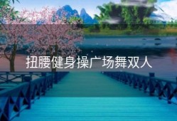 扭腰健身操广场舞双人