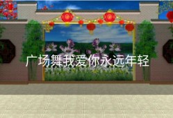 广场舞我爱你永远年轻